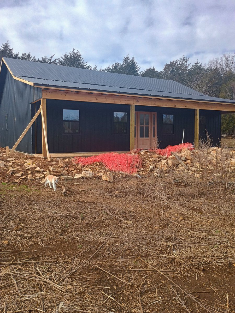 Joshy B🐧✳️ tweet media