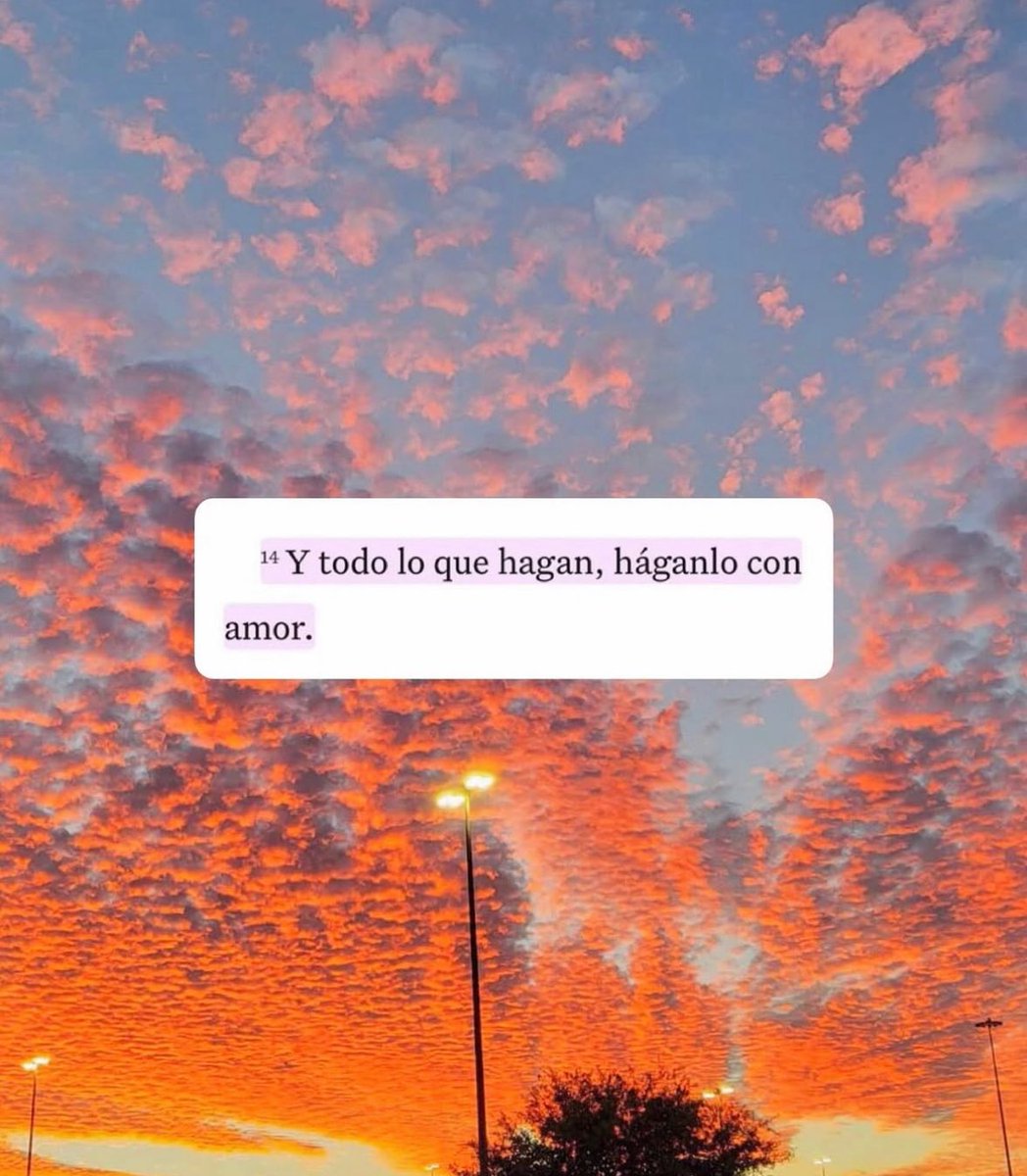 FraseSimple's tweet image. 