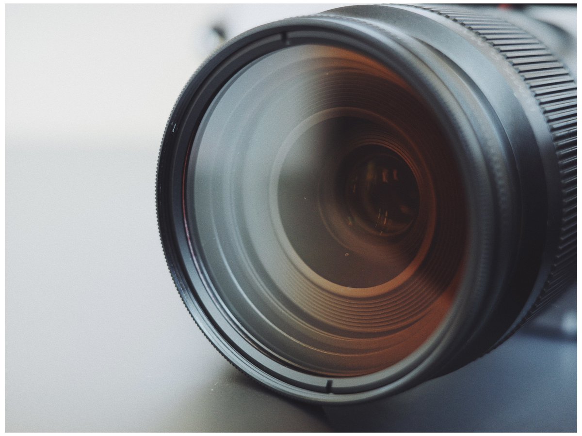 Shot by OM SYSTEM OM-3 w/ LUMIX G MACRO 30mm F2.8 ASPH. MEGA