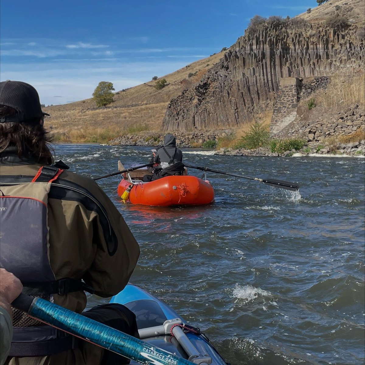 ConserveAngler's tweet photo. In October, we joined CalTrout and the Karuk Tribe with sampling and tagging Chinook in a river that’s coming back to life. Just a year ago, this was still Iron Gate Reservoir — now the only reminder is a faint bathtub ring on the rocks. https://t.co/DUG3mzRbC3