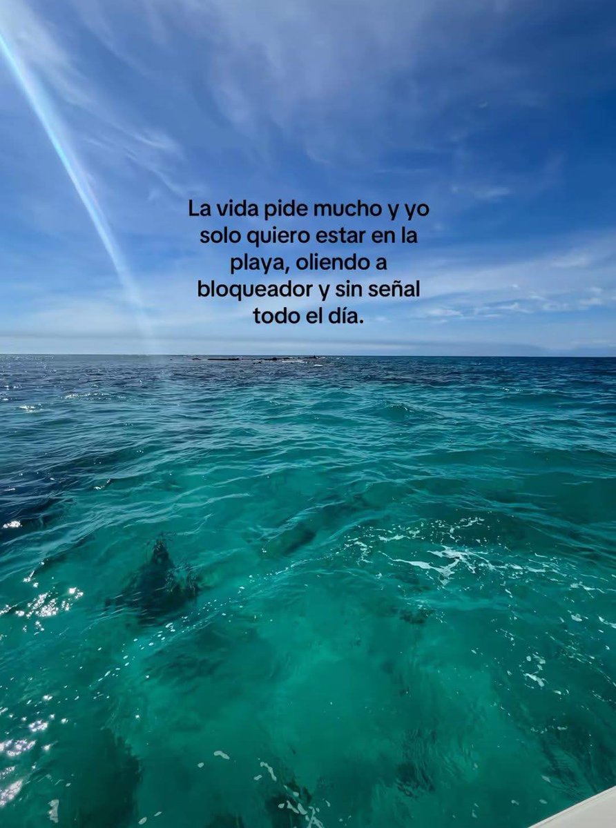 BANDIDOS (@bandidosfrasess) on Twitter photo 