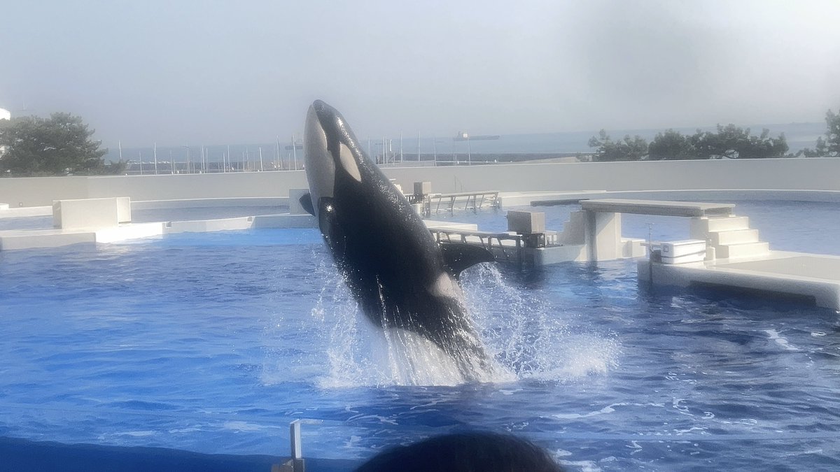 あと4日✨
お願い奇跡的に晴れになって🙏