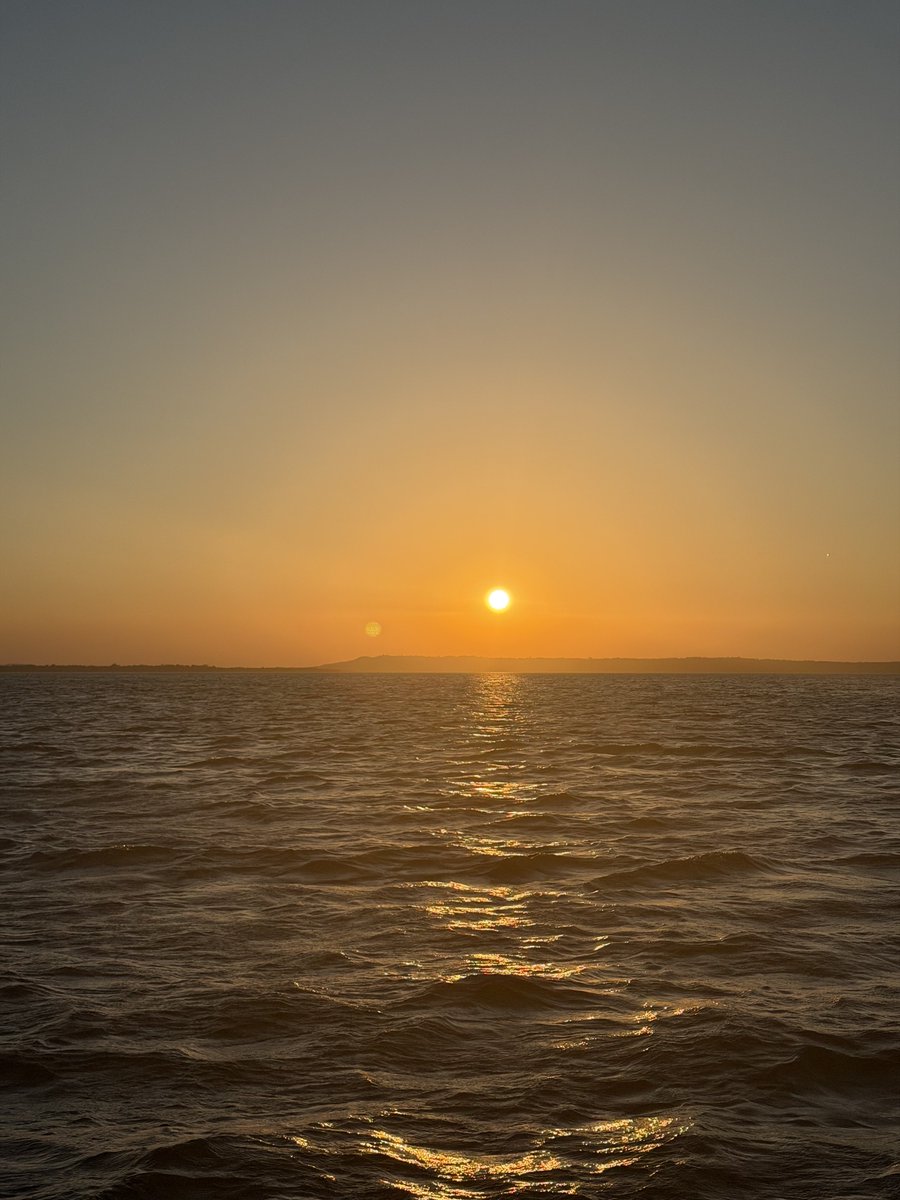 Carlos Fion tweet media