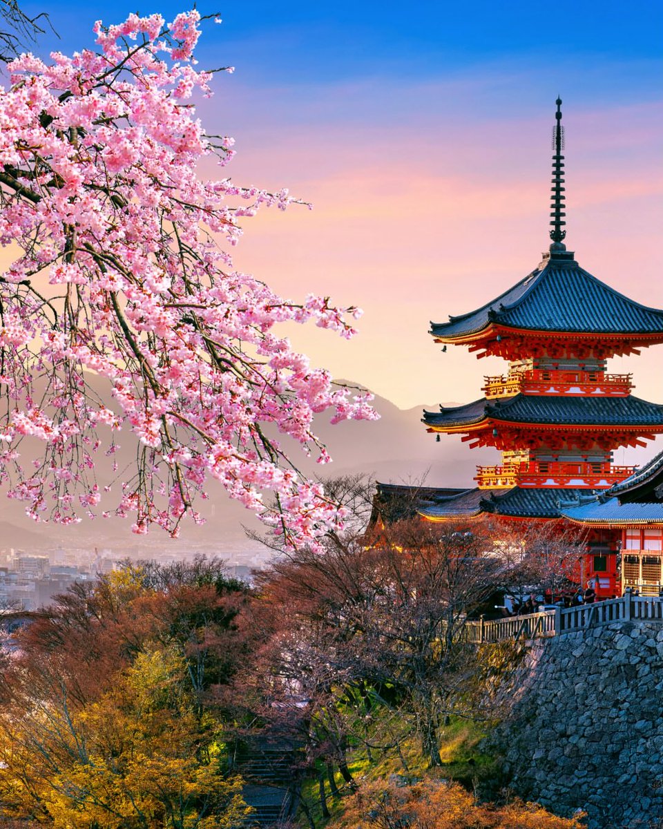 PrettyCitiesX's tweet photo. Japan 🇯🇵 https://t.co/CdLhQg6Iah