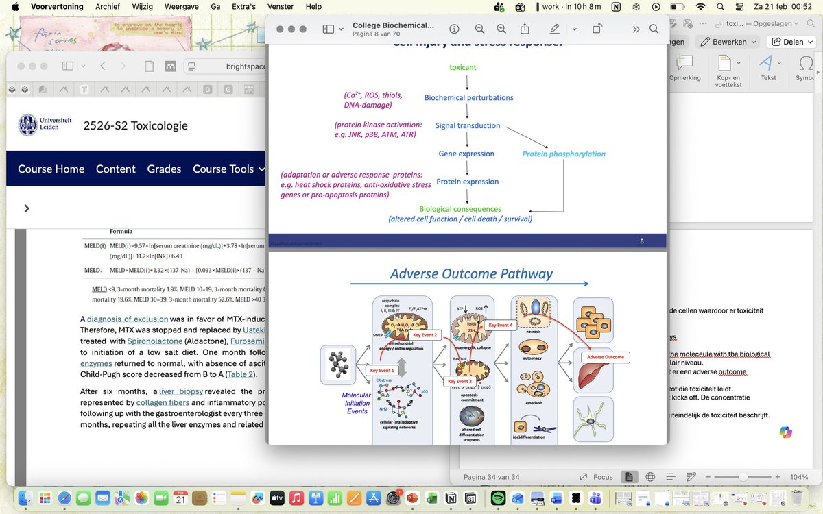 ela 🍀 tweet media