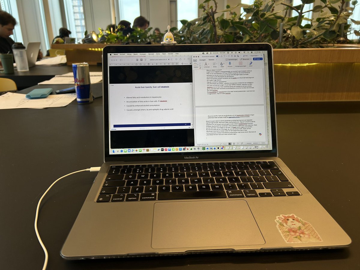 ela 🍀 tweet media