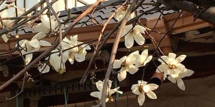 . 🌹 °

 ︴ . 🪭 ◦  Face clains 〰︎ N-brancas ◦  . ＊

                                                               . 🌹 °
- #shiftwt #loatwt #ldstwt