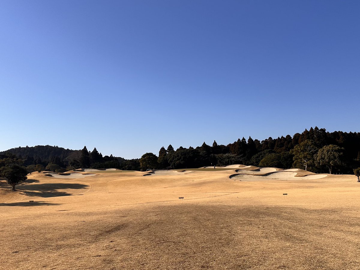 不二子⛳️ゴルフ好きOL tweet media