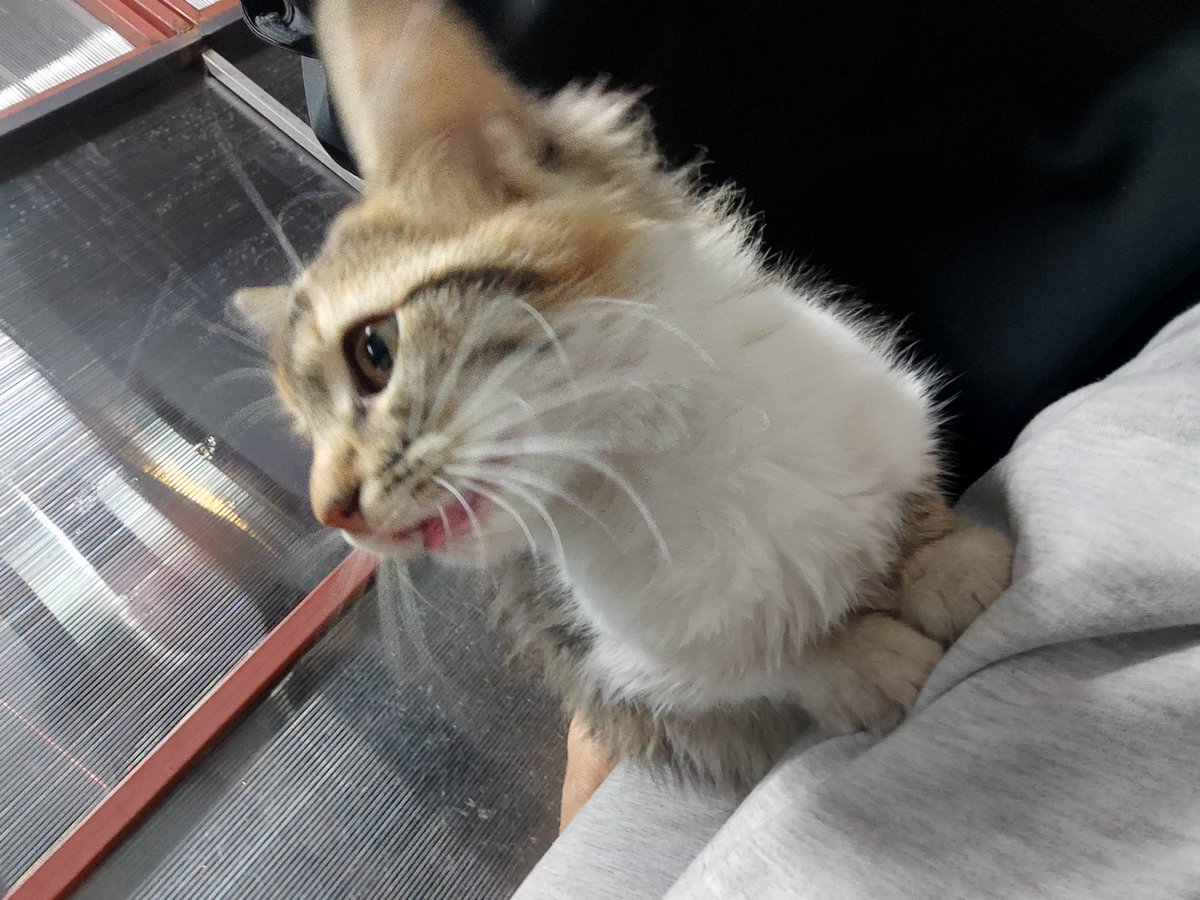 Allah o'nun ömründen alıp sana versin