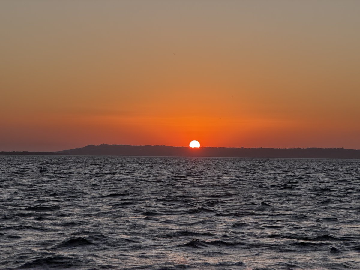 Carlos Fion tweet media