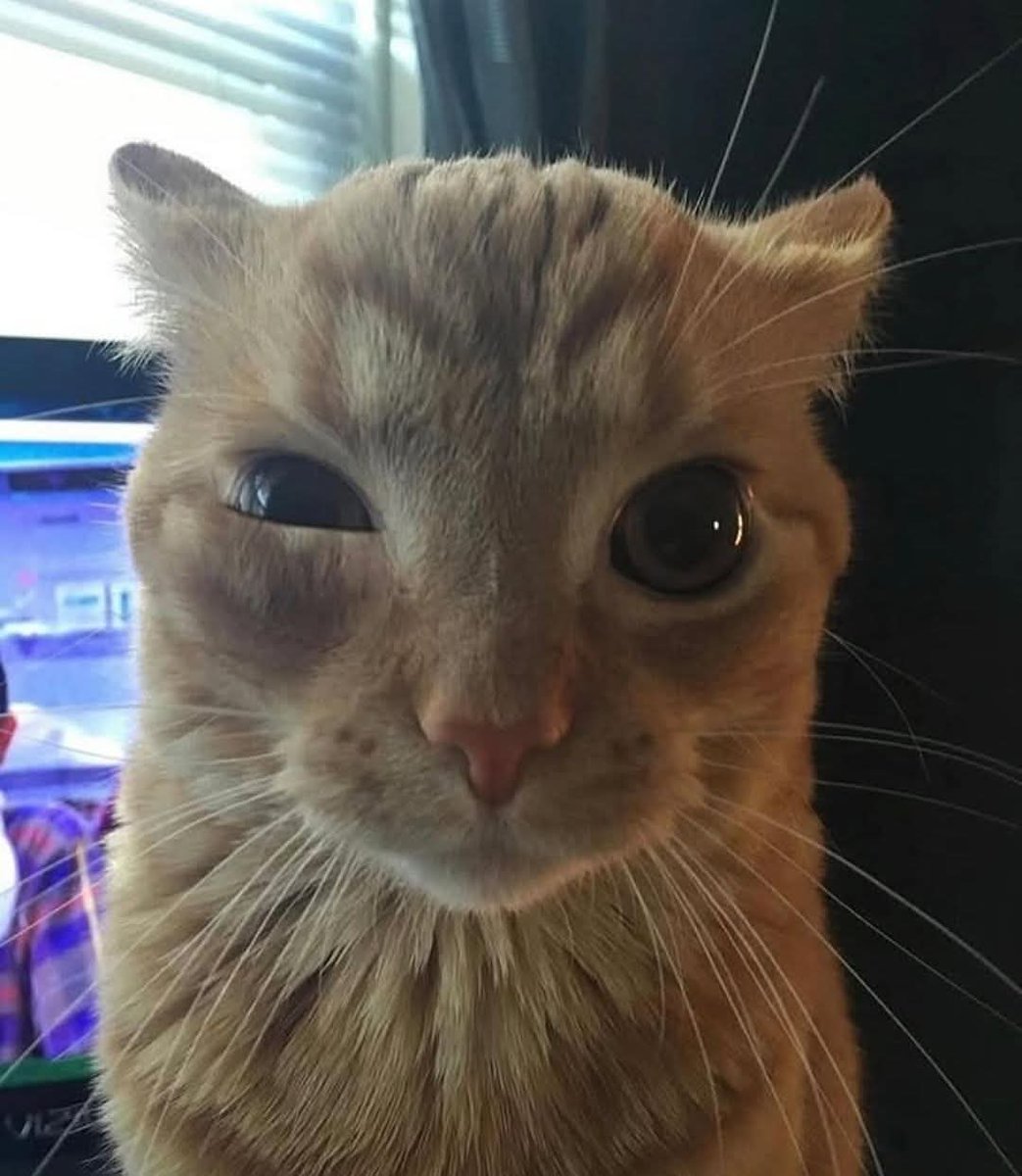 "Seguro salí bien en esta foto" MIS OJOS: