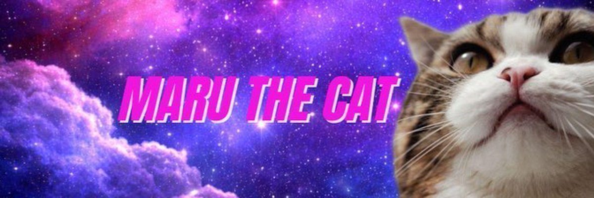 Maru the cat (@MaruTheCatS0L) / Posts / X