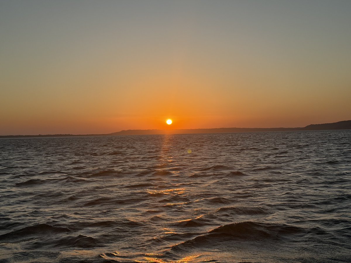 Carlos Fion tweet media