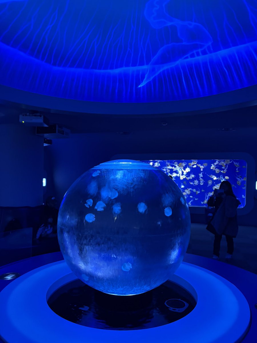 shimaison93 tweet media