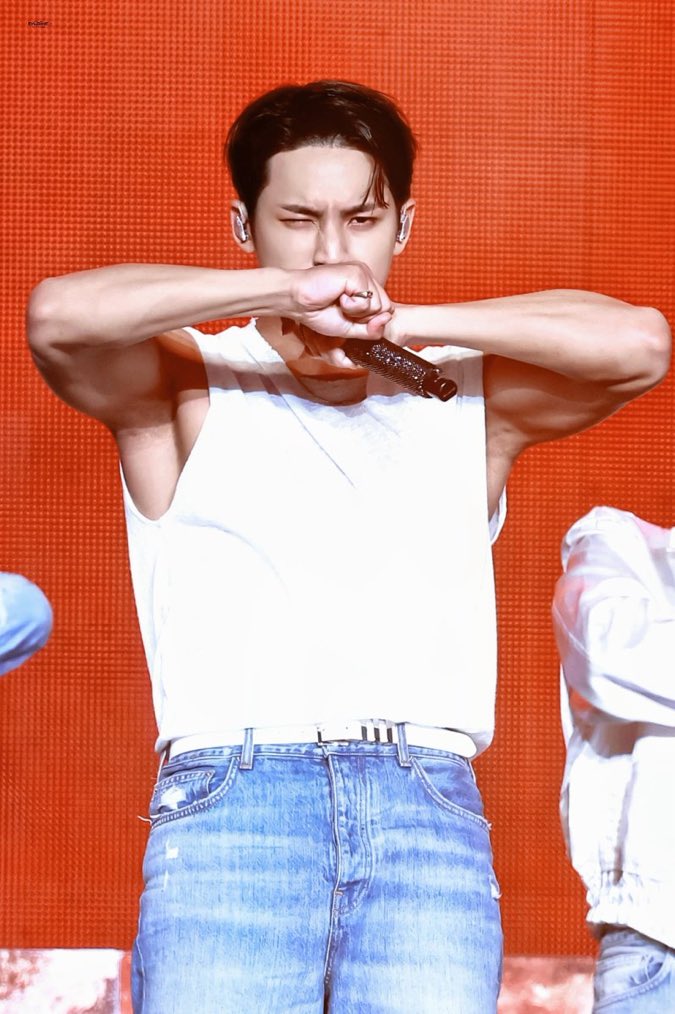 mingyu pits (@mingyupits) on Twitter photo 