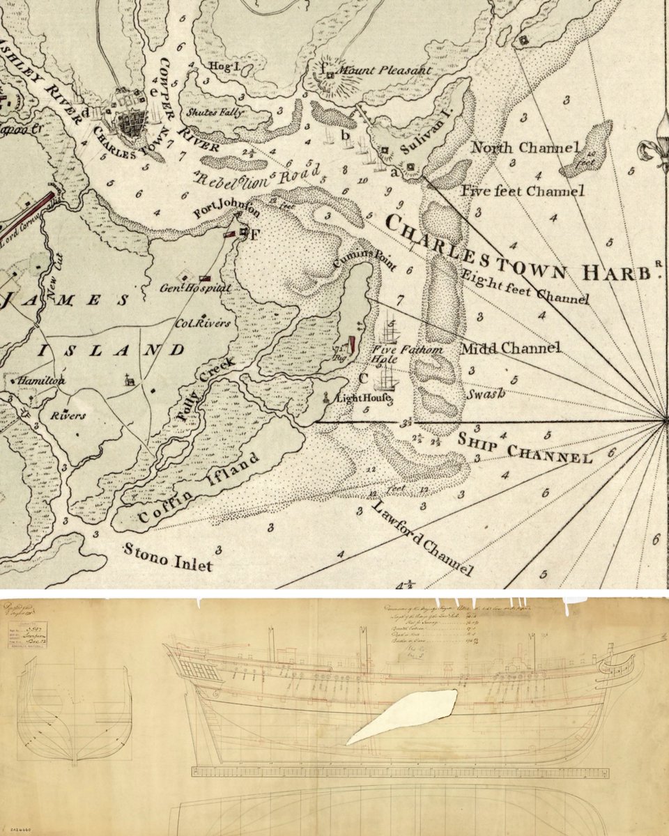 Charleston Library tweet media