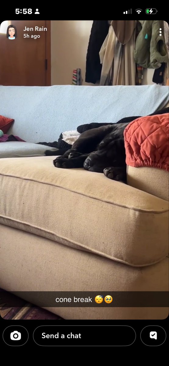 I’m not a wolf 🐺 🇺🇸 tweet media