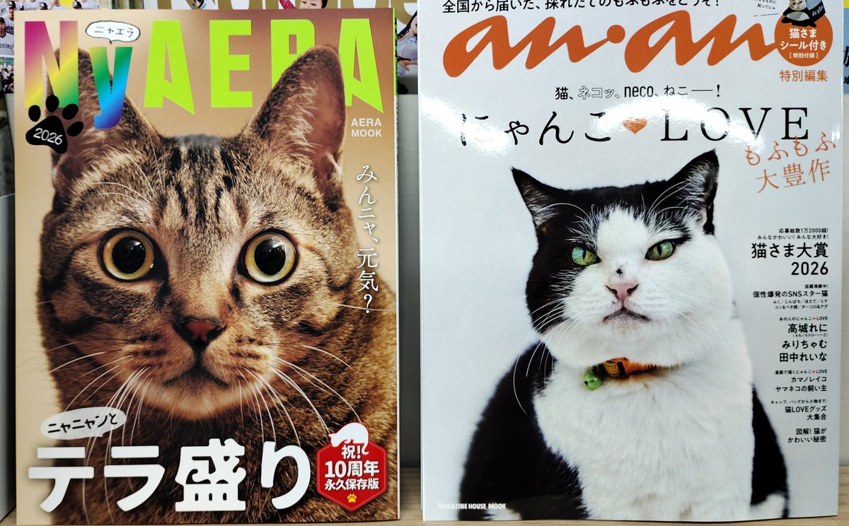 Post by NyAERA on X: にゃーん🐾