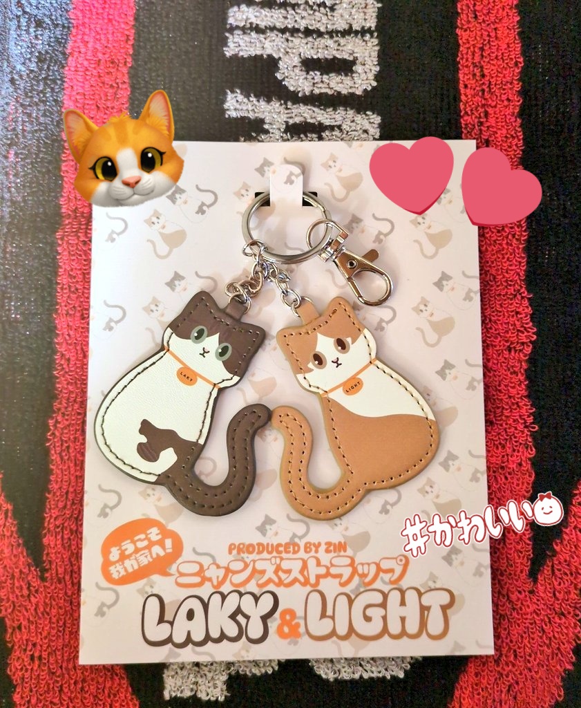 東城さんおはようございます😃 今日のテーマ『ネコ』 ネコと言ったら