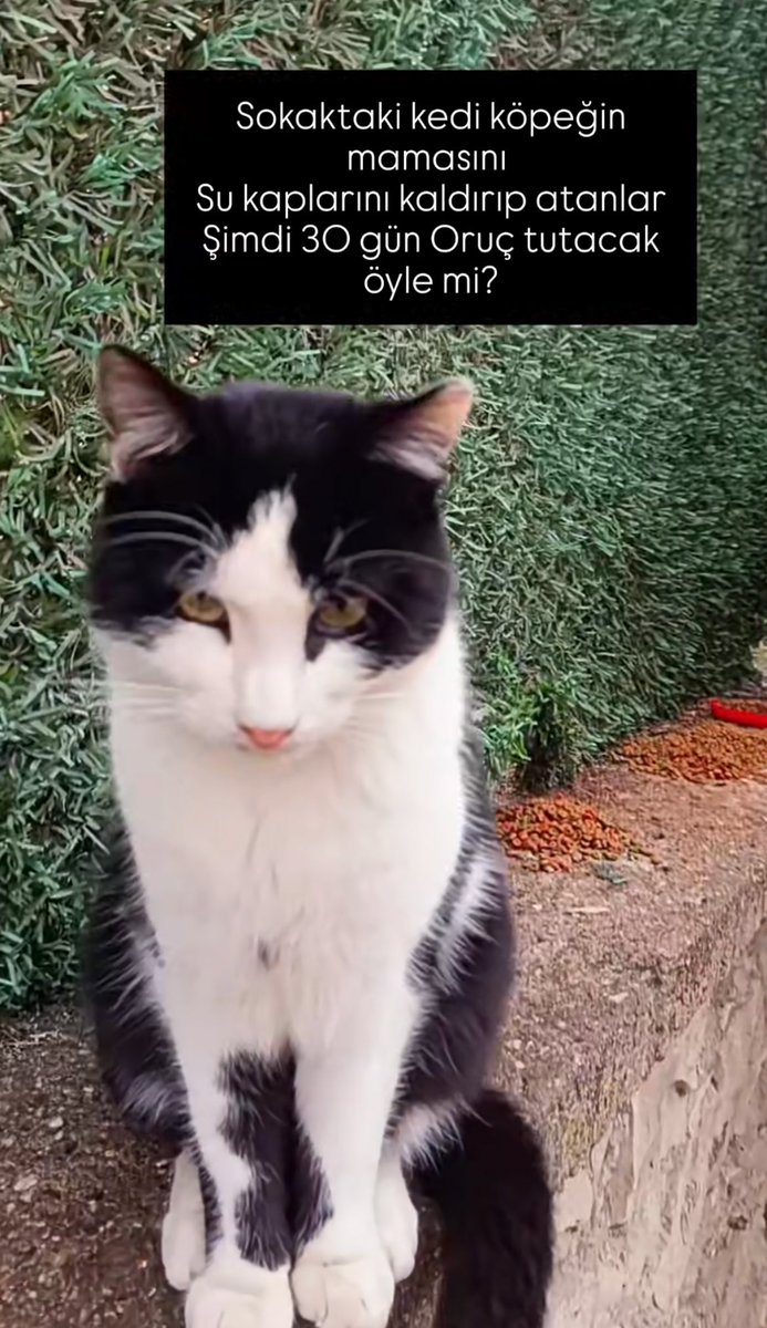 ★·.·´ ᴋᴇʟᴇʙᴇᴋ `·.·★ tweet media