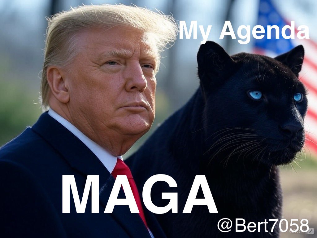 🇺🇸Bert🇺🇸⭐️⭐️⭐️ tweet media