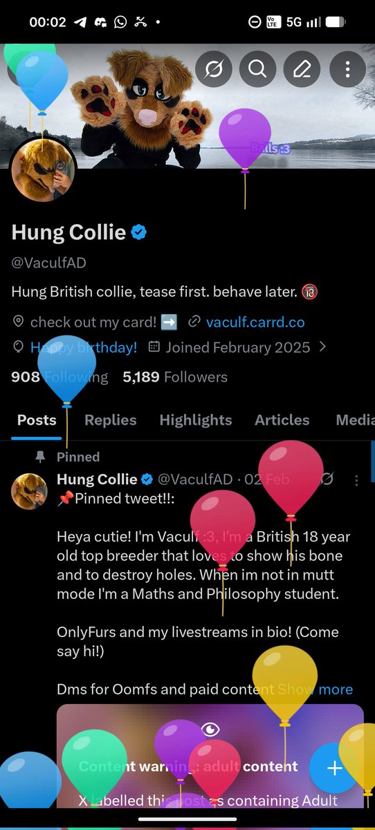 Hung Collie tweet media