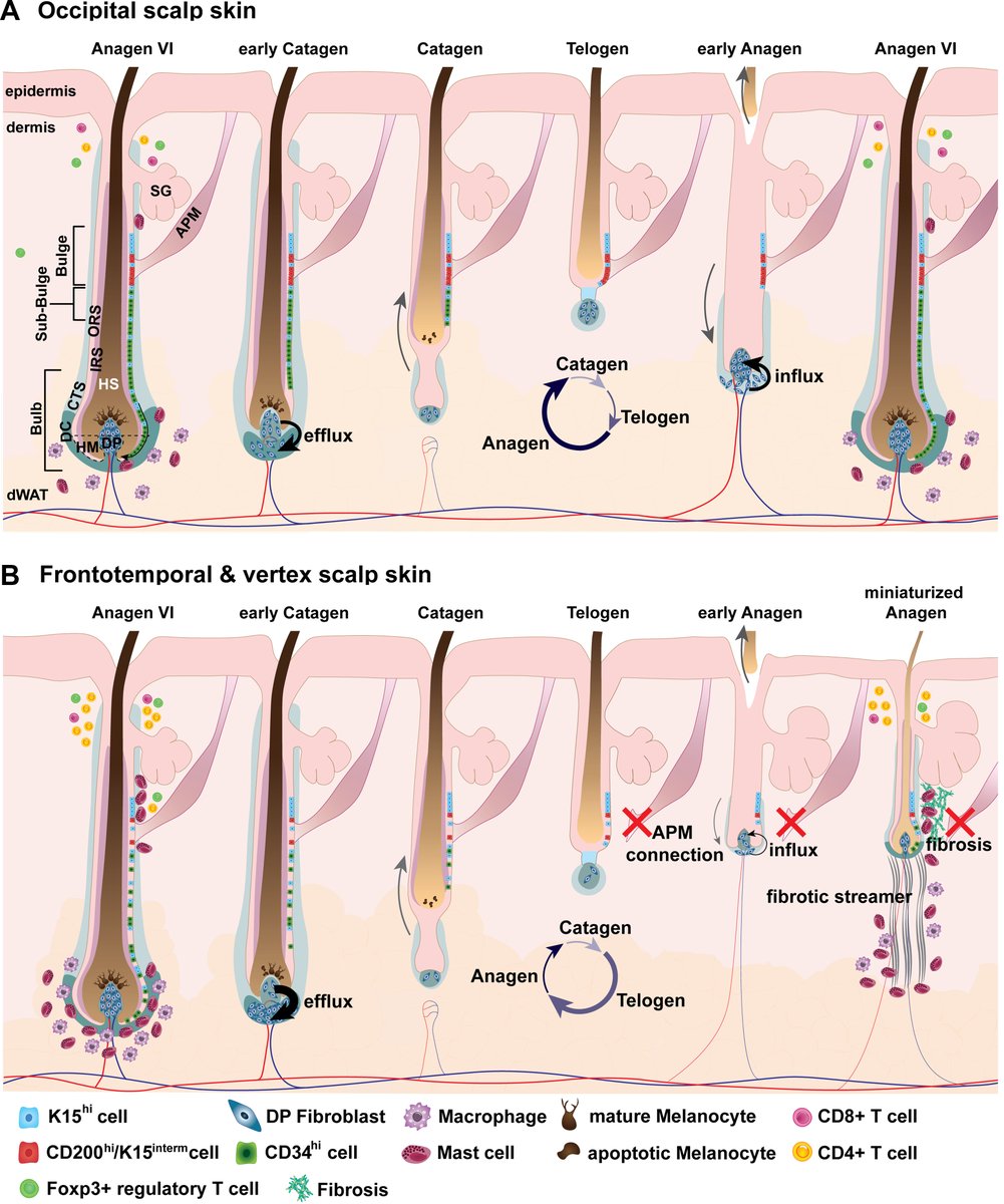 Physiological Reviews tweet media