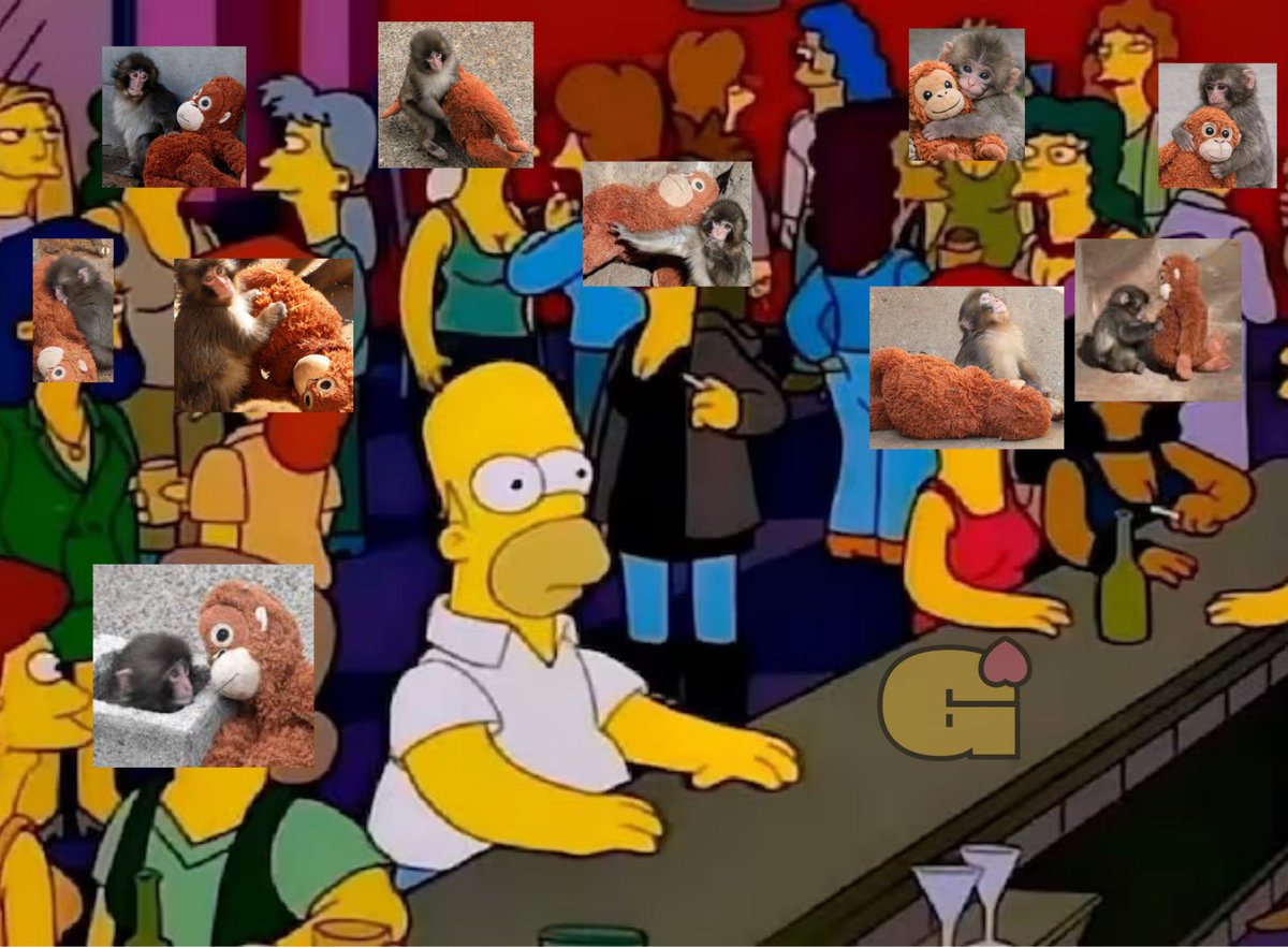 Yo entrando a las redes sociales en este momento: