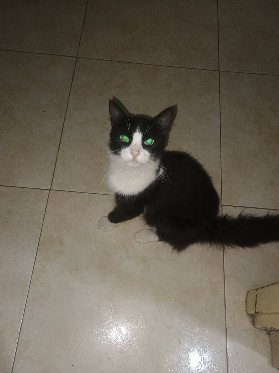 Alejita🐈‍⬛ tweet media