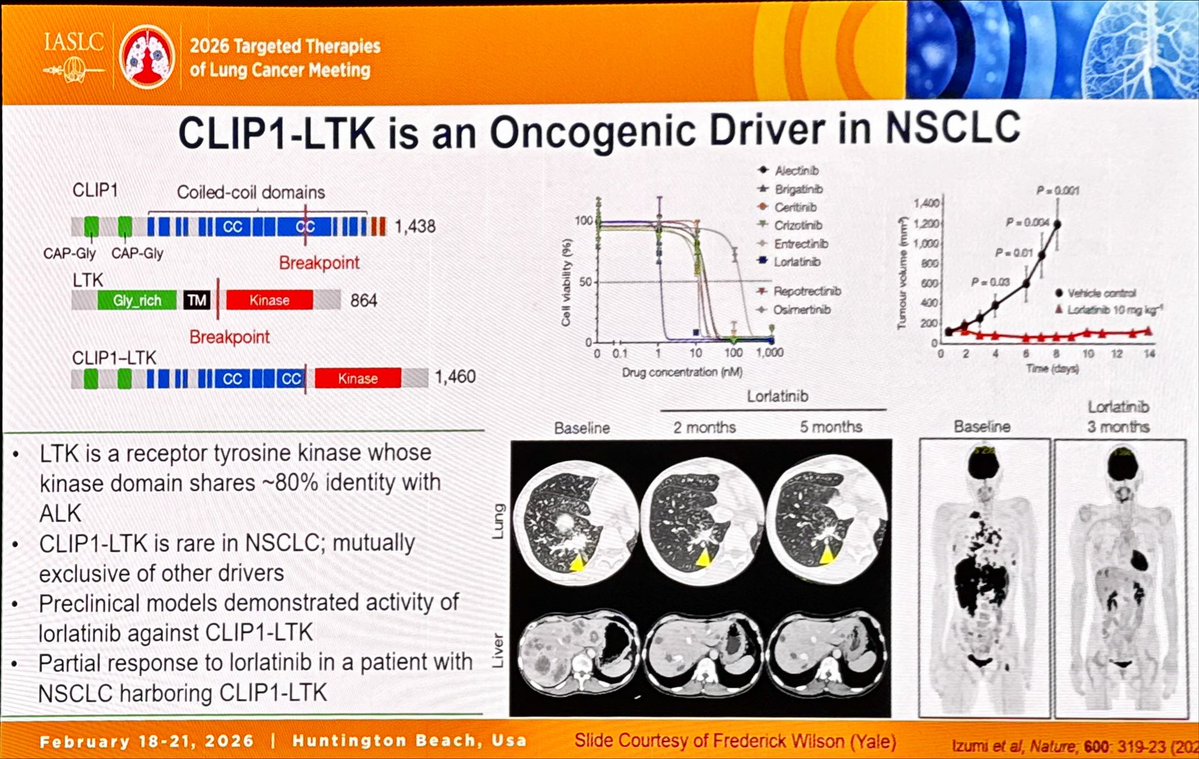 We continue to uncover rare drivers in NSCLC. An insightful talk