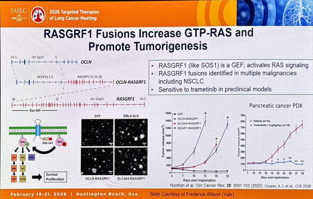 We continue to uncover rare drivers in NSCLC. An insightful talk
