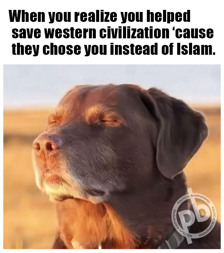 ⚡️Jeffy's Thick Skull⚡️ tweet media