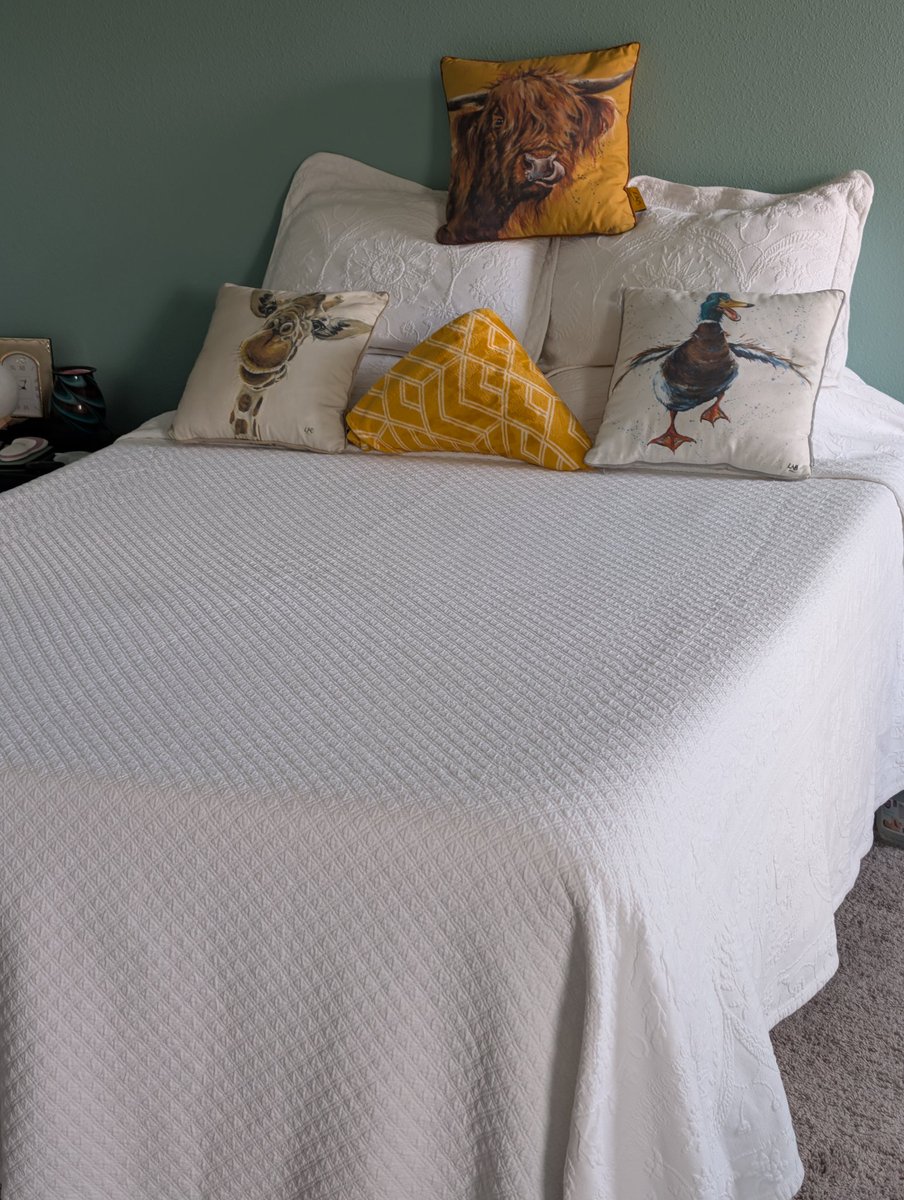 IMake_MyBed's tweet image. Friyay 👏🏻
#friyay #madebed #makeyourbed #imakemybed #GooglePixel9Pro
