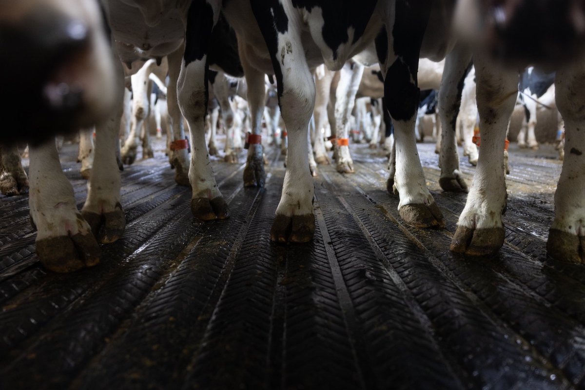 Bioret Agri tweet media