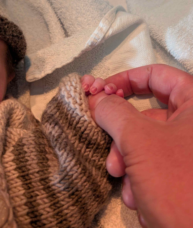 Ben Black | Dynasty Foundry tweet media