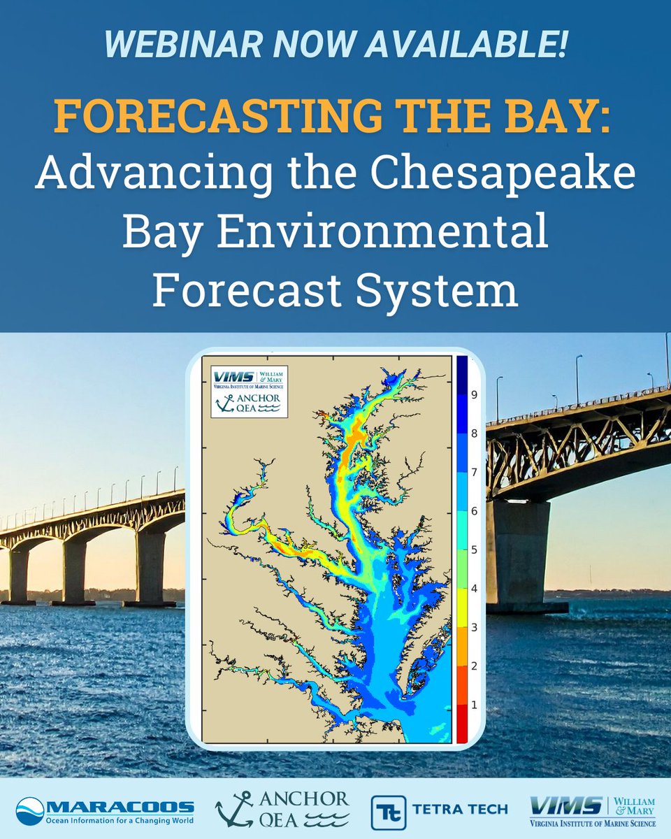 MARACOOS tweet media