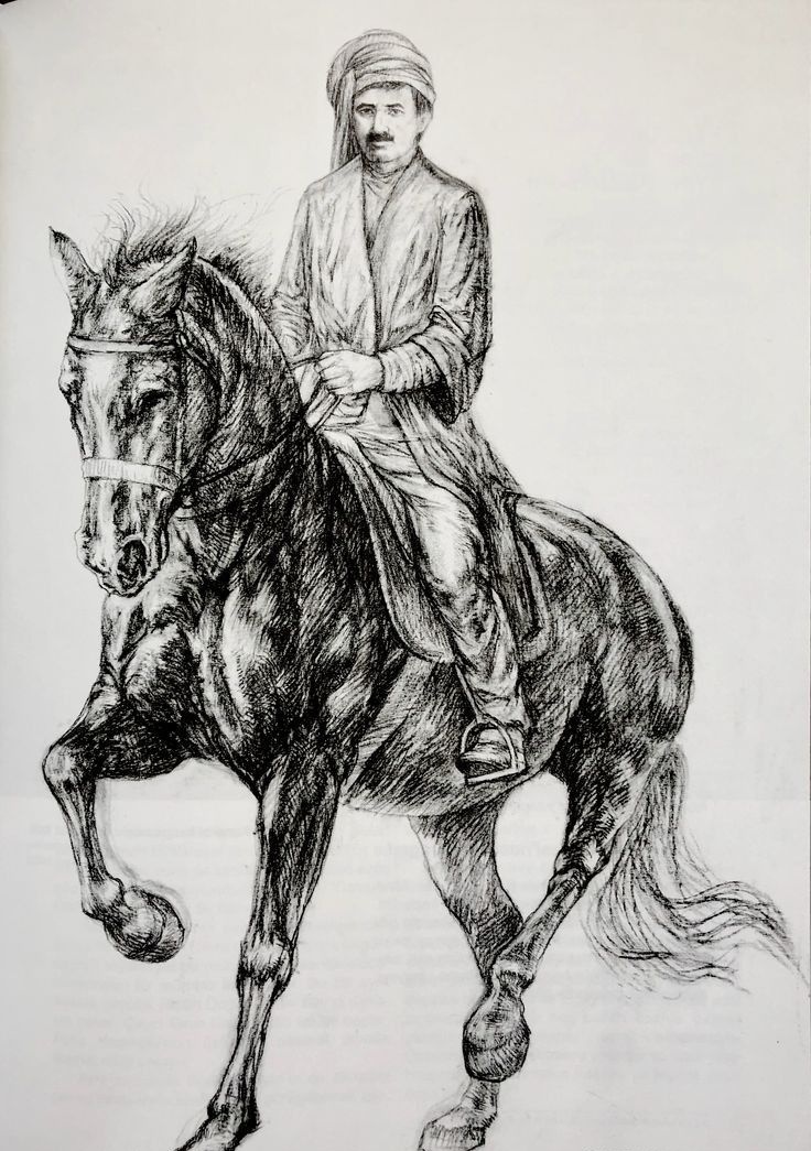 Faruk فاروق 🇹🇷🇵🇸 tweet media