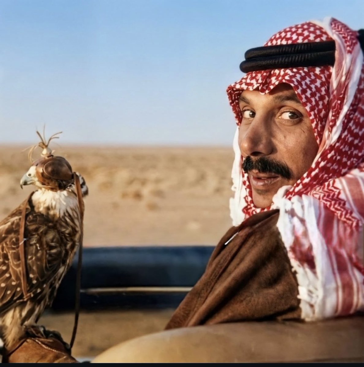 دينا نايف آل ســعـود tweet media