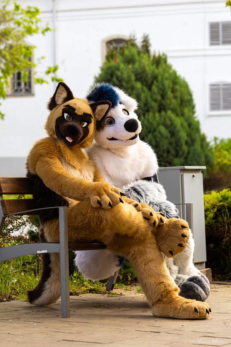 Hungarian Diva Doggo tweet media