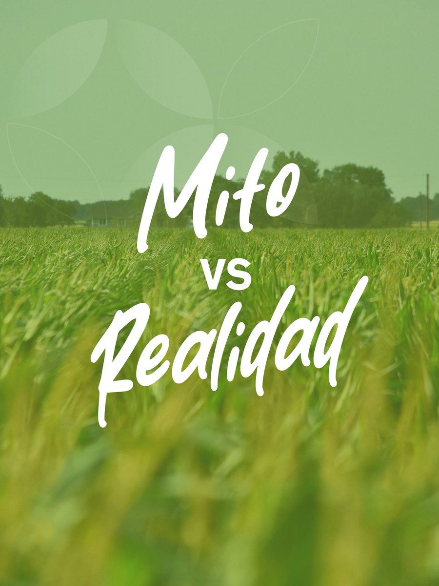 TROPFEN_AGRO's tweet photo. Mito o realidad: versión campo 🌾​

 ¿Más dosis es igual a mejores resultados?​
 La realidad es una mejor aplicación y mayor eficiencia.​

 Cuando entendés la diferencia, elegís mejor.​

#SomosTropfen #AgriculturaArgentina  #Tropfen https://t.co/1q9iC5ffU6
