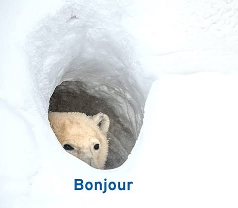 Still alive and kicking!
Volveré pronto... Eso espero.