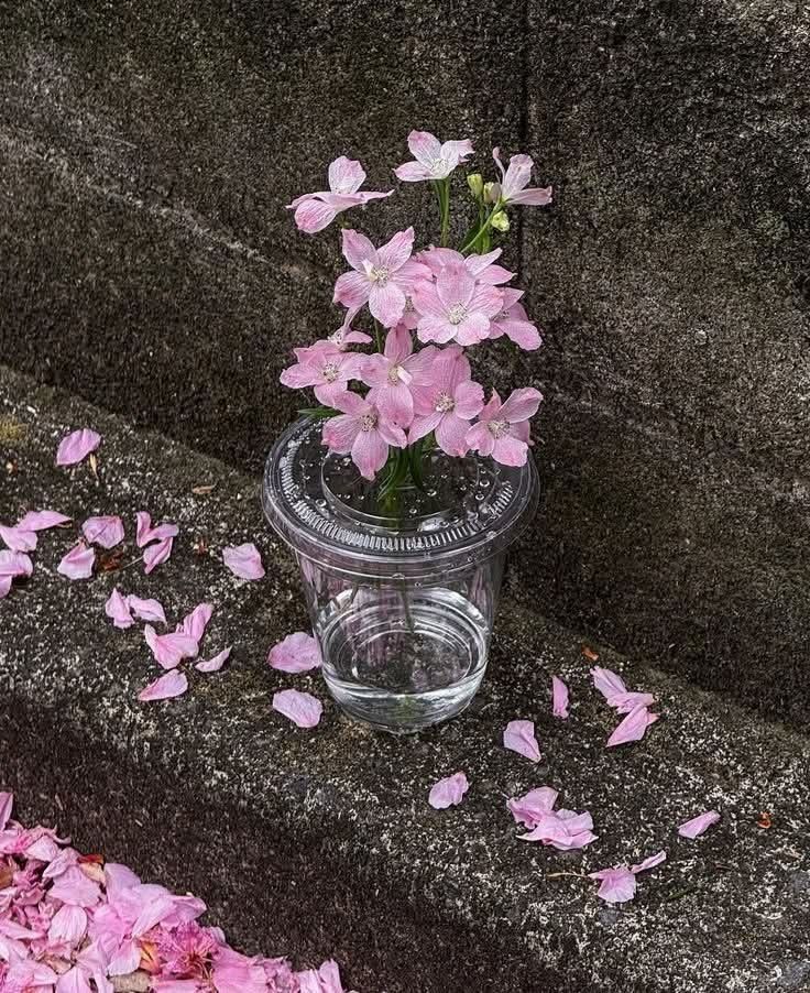 World Click (@worldclick56) on Twitter photo 