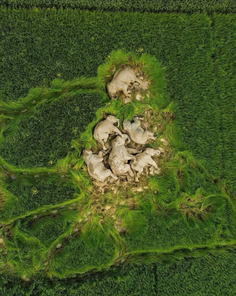 Nature Hub tweet media