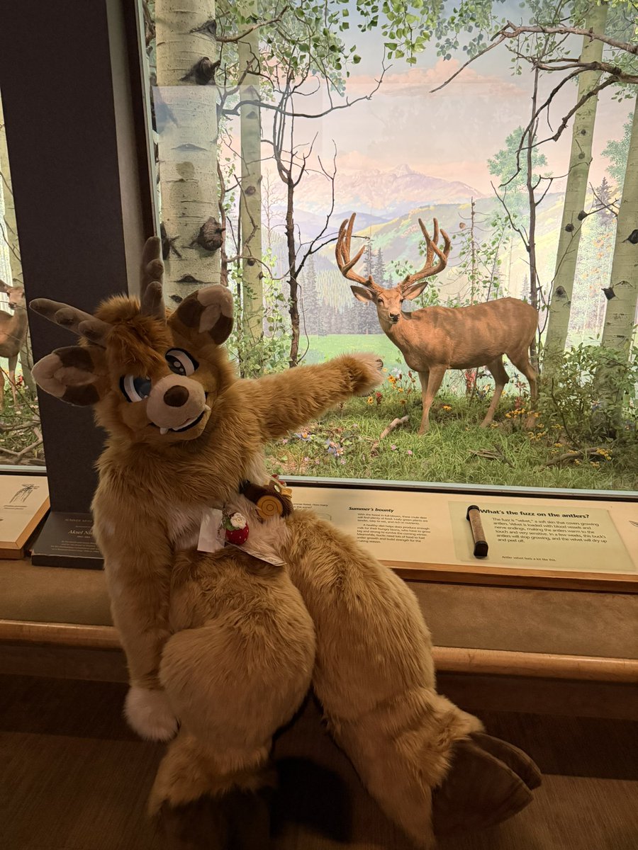 Jerb 🦌 tweet media