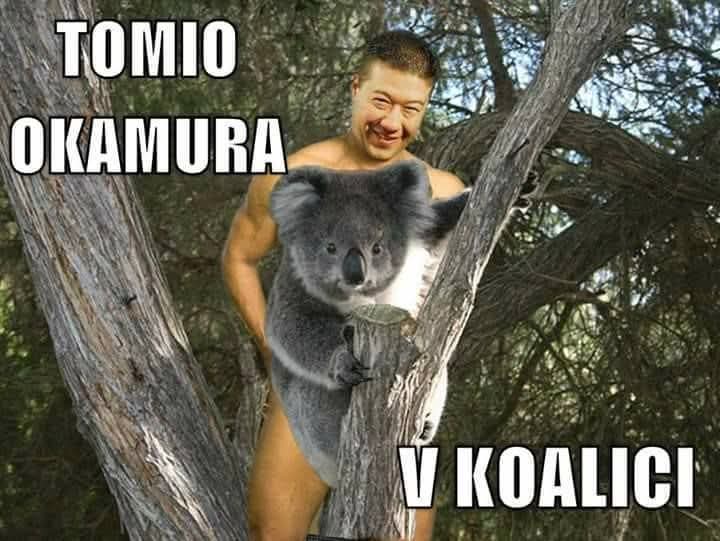Tomio v koalici
(vtípek z roku 2017)