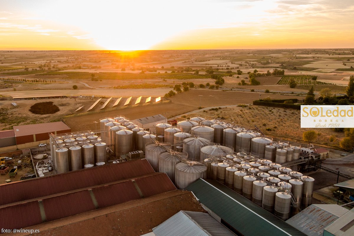bodegasoledad tweet media