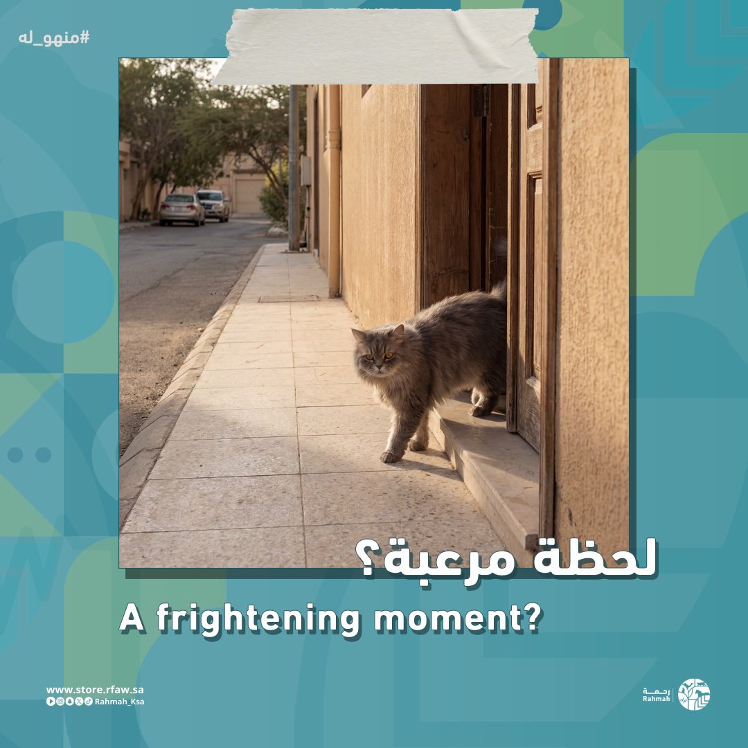 مو كل الحيوانات الضايعة تنسرق ..

بعضها يلقى .. لكن ما يرجع!

لأن محد قدر يعرف من صاحبه

Not all lost pets are stolen…

Some are found, but never returned

Because ownership couldn’t be verified.

#ترقيم_الحيوانات_الأليفة #منهو_له #who_owns_it