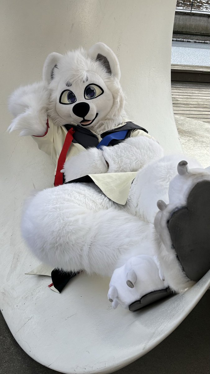 WolframLiu 一条欢 🔜 Pawske tweet media