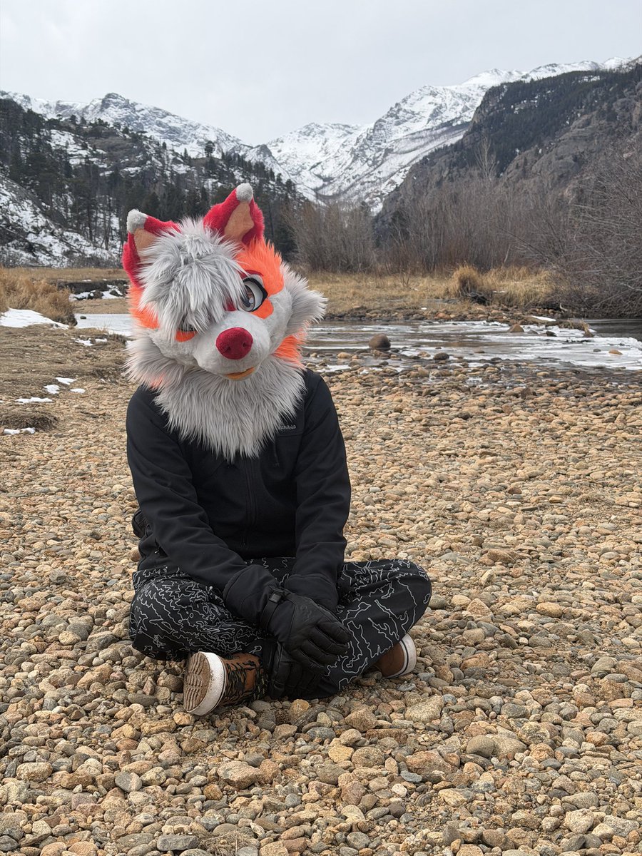 Fluffy Husky tweet media