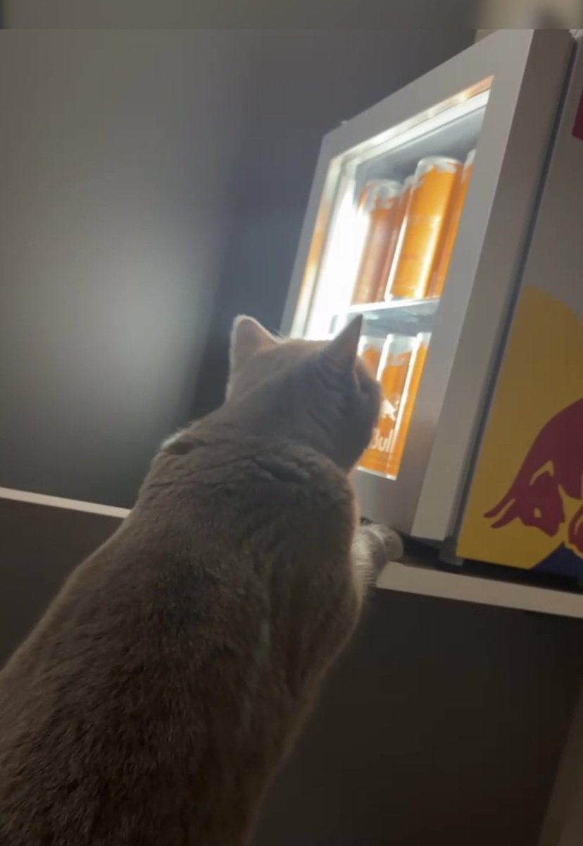 NAVI hiro tweet media